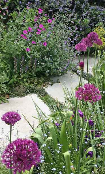 Celia’s Cottage Garden